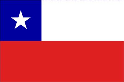 Bandera Chilena Big