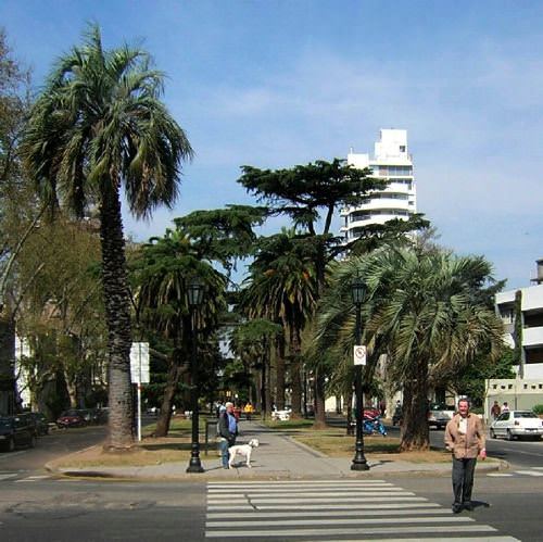 Rosario1