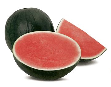 sandia-fashion sandia-fashion