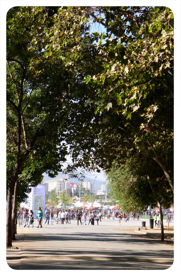 ll0012012 ll0012012 Apuntes día sábado 31 de marzo, Lollapalooza 2012