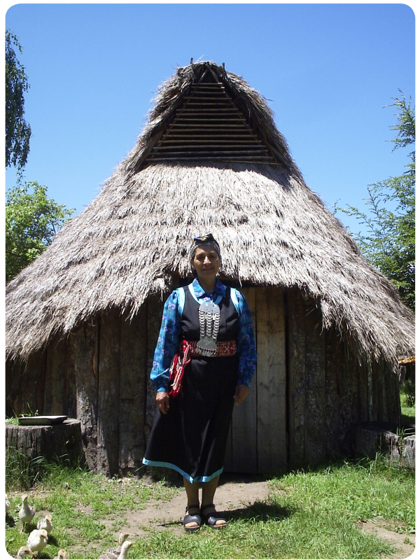 Vacaciones diferentes y sustentables: cultura mapuche cerca de Pucón 1