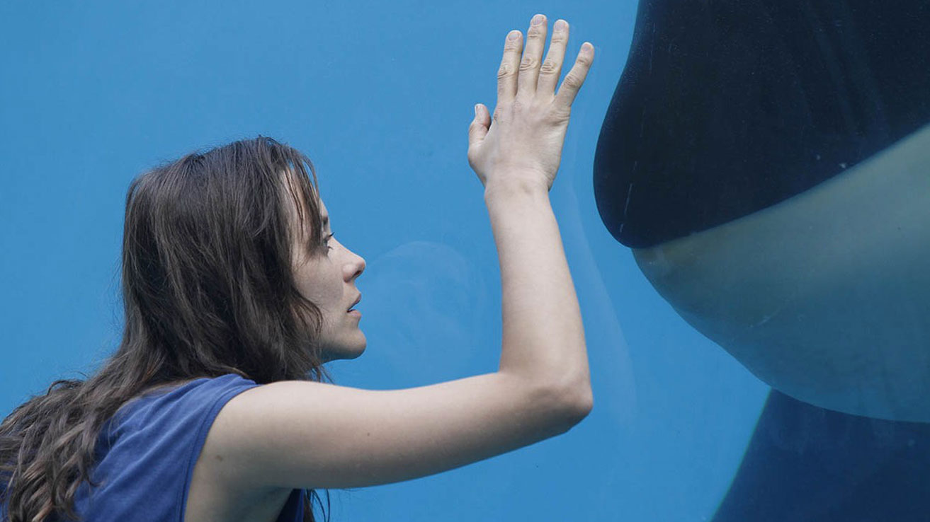 De Óxido y Hueso: Marion Cotillard, entrenadora de ballenas 3
