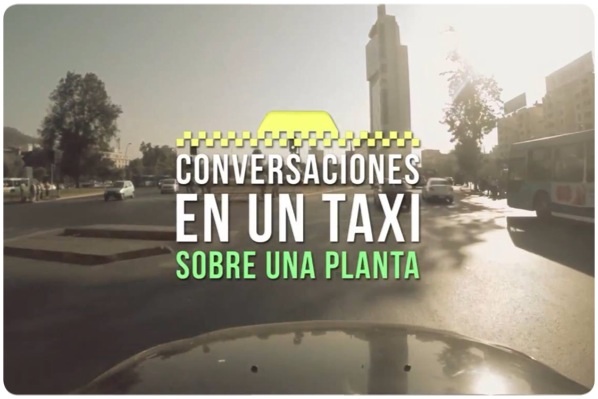 Conversaciones en un taxi sobre una planta, una webserie de entrevistas 4