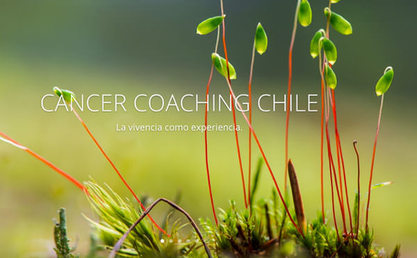 Cáncer Coaching Chile, apoyo y compañía para jóvenes con cáncer y su entorno 2