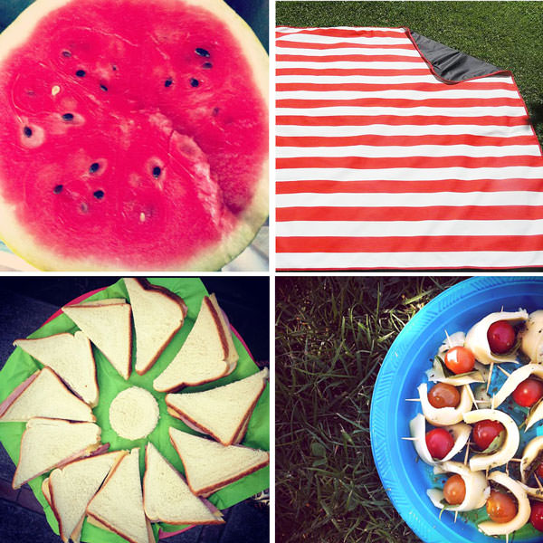 El picnic perfecto 4