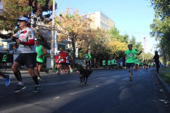 Fotos del Maratón de Santiago 2015 152