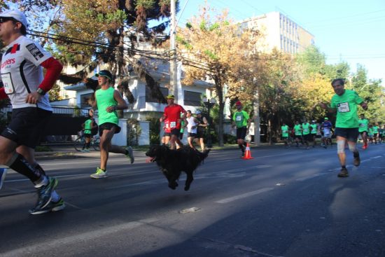 Fotos del Maratón de Santiago 2015 151