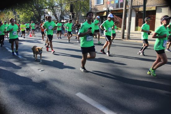 Fotos del Maratón de Santiago 2015 107