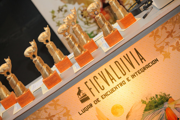 3 concursos para el Festival Internacional de Cine de Valdivia 2015 2
