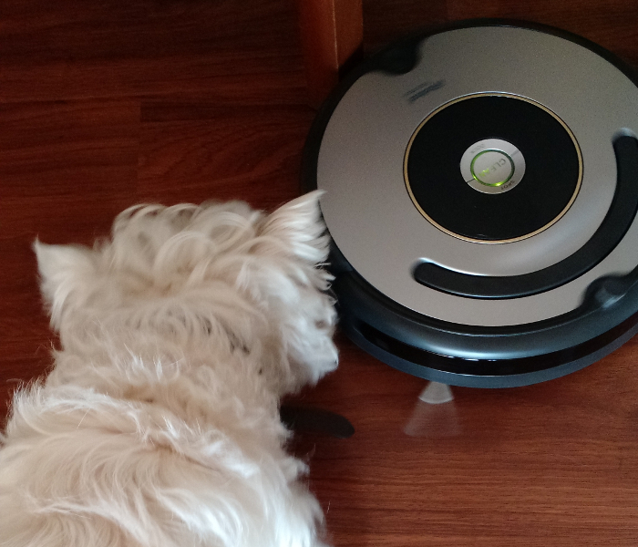 Objeto de deseo: aspiradora Roomba 4