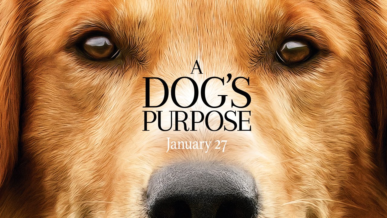 A Dog's Purpose: las reencarnaciones de un perro 1