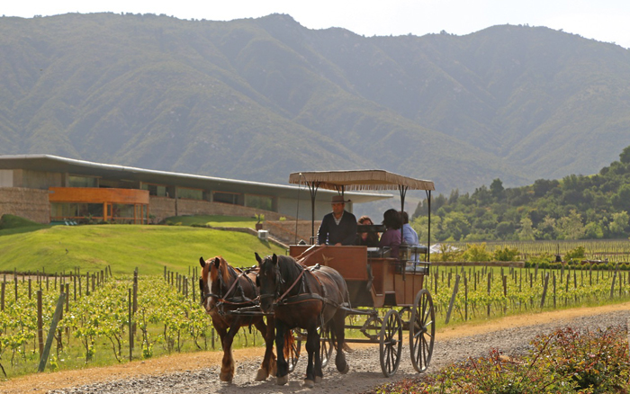 Celebra el 18 con Viña Montes en el valle de Colchagua 3