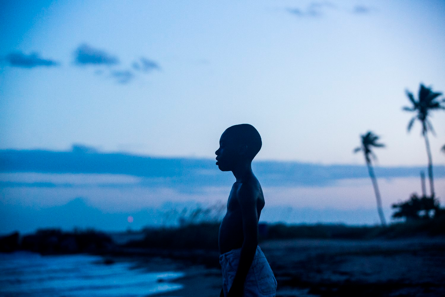 Moonlight: sutil y perfecta 1