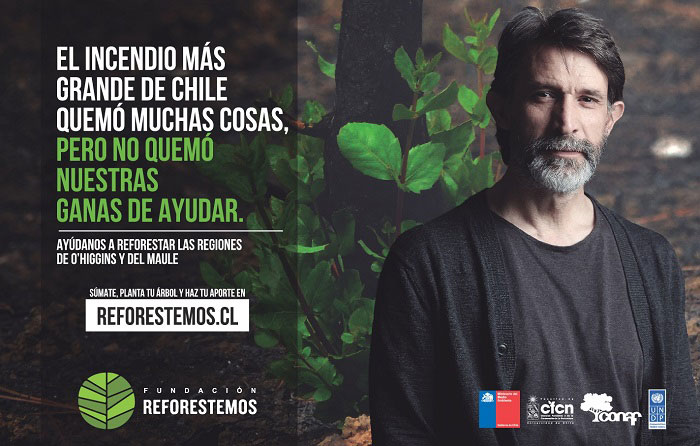 Campaña nacional de reforestación en VI y VII Región