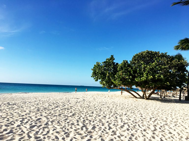 Aruba: Una isla feliz los 365 días del año 1