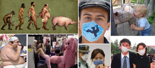Fiebre porcina: ¿pandemia? 3