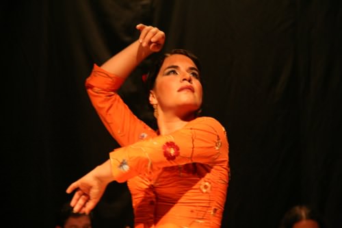 Bailaora de flamenco 7