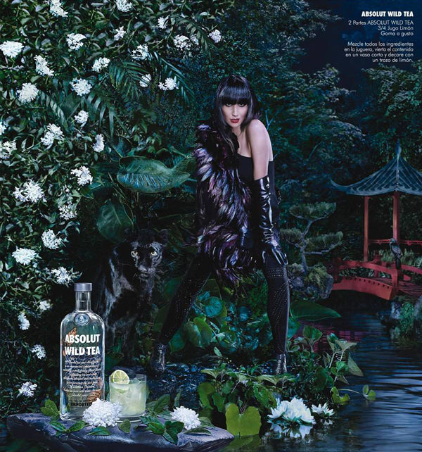 Absolut Wild Tea, con Karen O 17